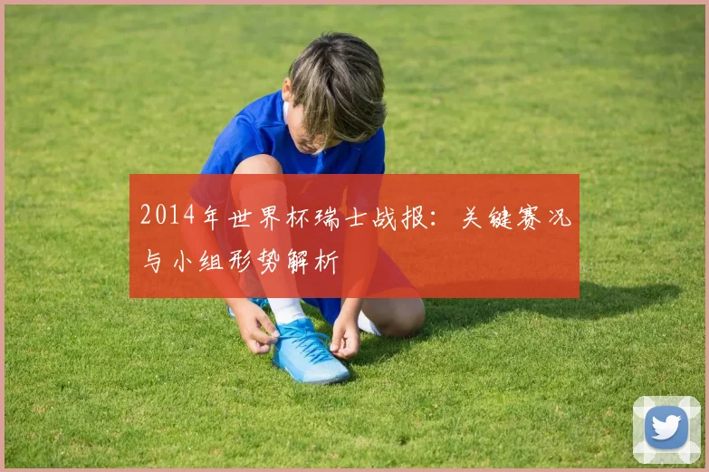 2014年世界杯瑞士战报:关键赛况与小组形势解析