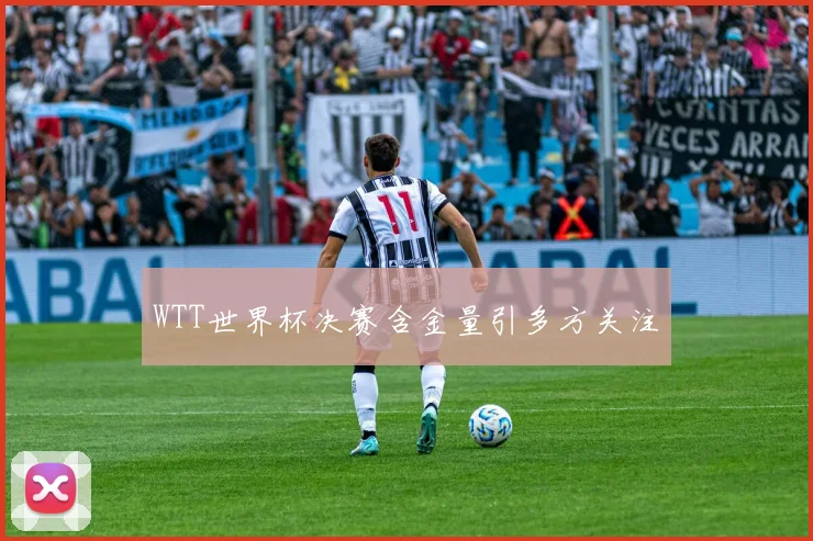 WTT世界杯决赛含金量引多方关注