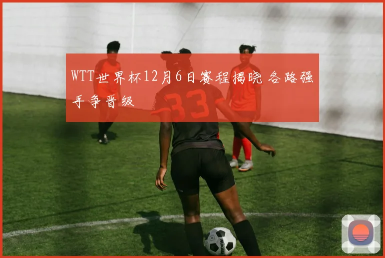 WTT世界杯12月6日赛程揭晓 各路强手争晋级