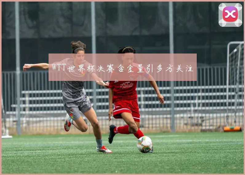 WTT世界杯决赛含金量引多方关注