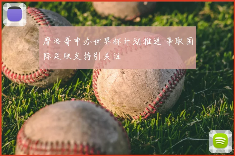 摩洛哥申办世界杯计划推进 争取国际足联支持引关注