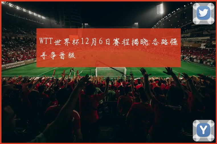WTT世界杯12月6日赛程揭晓 各路强手争晋级