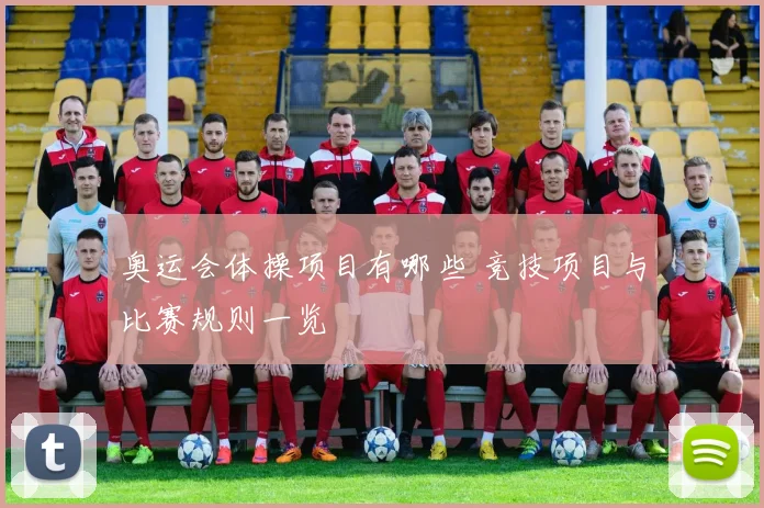 奥运会体操项目有哪些 竞技项目与比赛规则一览