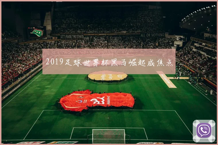2019足球世界杯黑马崛起成焦点